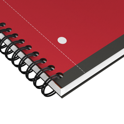 Agenda Oxford International Active Book, A4+, 80 file, coperta PP, gri, patratele