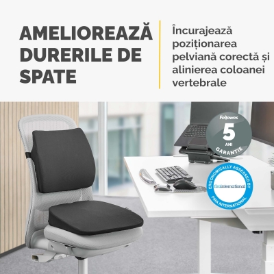 Perna de scaun Fellowes, Breyta Wedge, negru