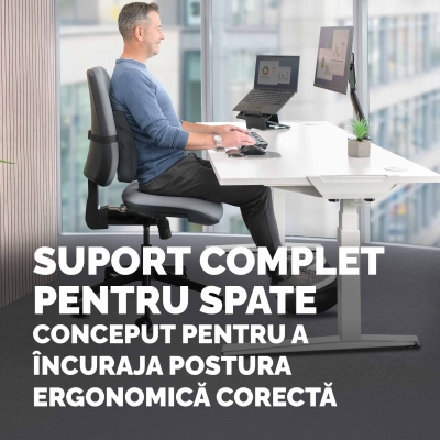 Perna pentru spate Fellowes, Breyta Comfort, negru