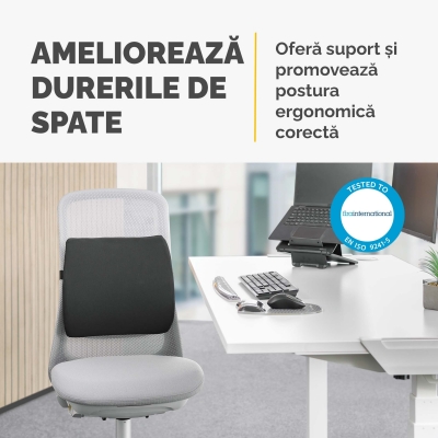 Perna pentru spate Fellowes, Breyta Comfort, negru