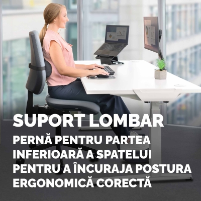 Perna lombara, Fellowes, Breyta, negru