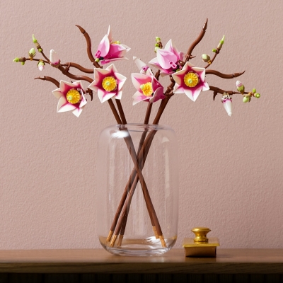 Ramuri de magnolie 11510 LEGO Colectia Botanica