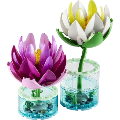 Nuferi 11511 LEGO Colectia Botanica