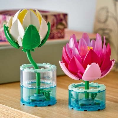 Nuferi 11511 LEGO Colectia Botanica