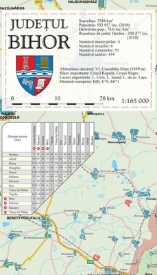 Harta Judetului Bihor 70 x 100 cm sipci plastic