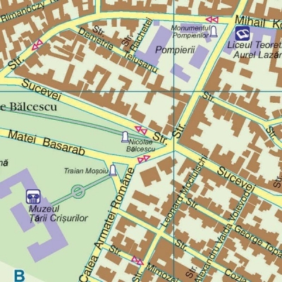 Harta Municipiului Oradea BH 100 x 70 cm sipci de plastic 