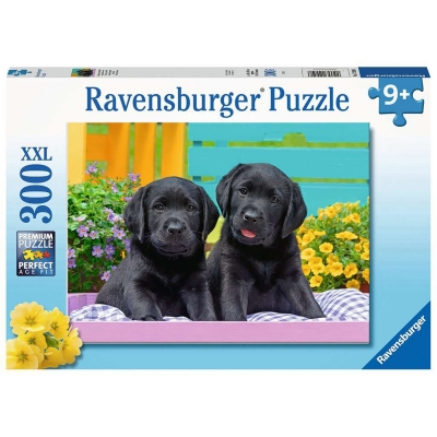 Puzzle Catelusi, 300 Piese Ravensburger