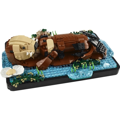Vidre plutind pe apa 21366 LEGO Ideas