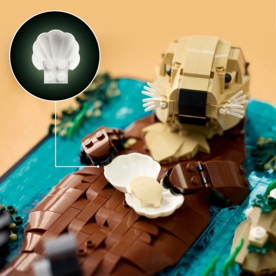 Vidre plutind pe apa 21366 LEGO Ideas