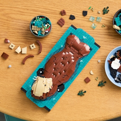 Vidre plutind pe apa 21366 LEGO Ideas