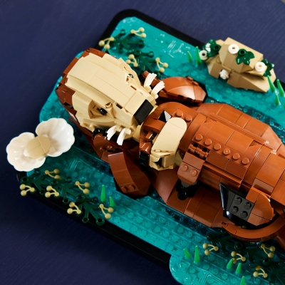 Vidre plutind pe apa 21366 LEGO Ideas