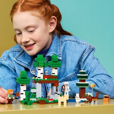 Prima aventura pe timp de noapte 21593 LEGO Minecraft