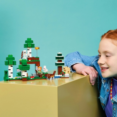 Prima aventura pe timp de noapte 21593 LEGO Minecraft