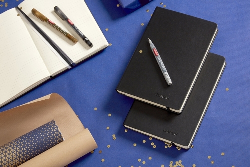 Set pentru schite, include caiet A5 cu inchidere elastica, 80 coli, 140g si 4 linere pe baza de apa, diverse culori Derwent Professional