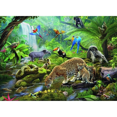 Puzzle Animale In Padurea Tropicala, 60 Piese Ravensburger