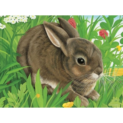 Puzzle In Cutie Animale, 12 Piese Ravensburger