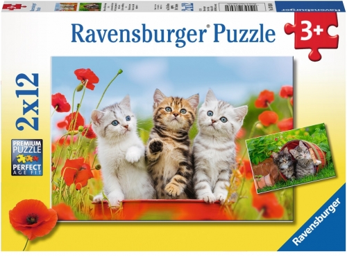 Puzzle Aventura Pisicutelor, 2X12 Piese Ravensburger