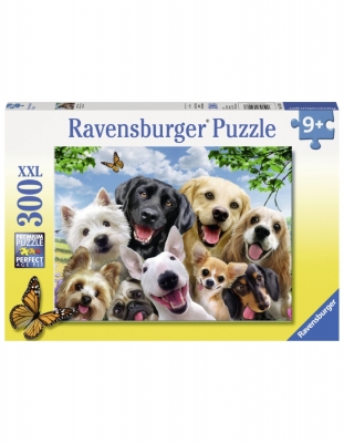 Puzzle Cateii Incantati, 300 Piese Ravensburger