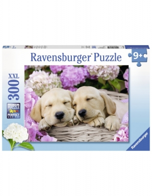 Puzzle Catei In Patura, 300 Piese Ravensburger