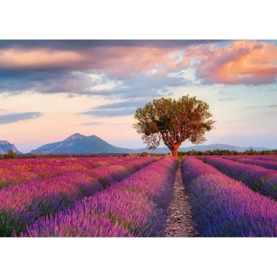 Puzzle Camp De Lavanda, 1000 Piese Ravensburger