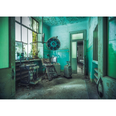 Puzzle Casa De Nebuni, 1000 Piese Ravensburger