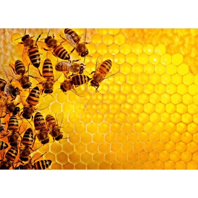 Puzzle Provocare Albine Si Fagure, 1000 Piese Ravensburger