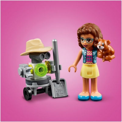 Gradina cu flori a Oliviei 41425 LEGO Friends