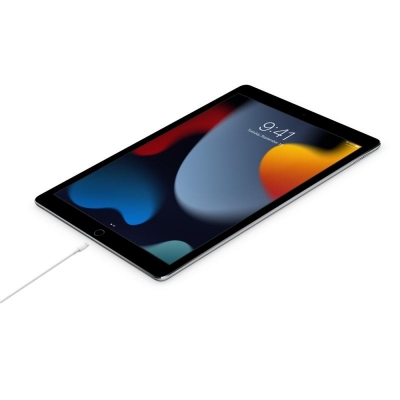 Cablu de date Apple USB-C - Lightning, 1m