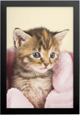 Rama foto magnetica autoadeziva 10 x 15 cm 2 buc/set Durable