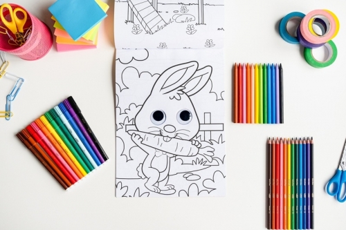 Set de colorat BIC Kids, 12 markere de colorat Visa, 12 creioane colorate Evolution, 12 creioane cerate Plastidecor, 2 carti de colorat