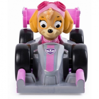 PAW PATROL MASINA DE POLITIE ROADSTER SI FIGURINA SKYE SPIN MASTER