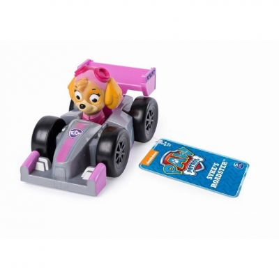 PAW PATROL MASINA DE POLITIE ROADSTER SI FIGURINA SKYE SPIN MASTER