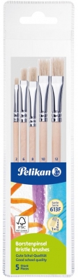 Set 5 pensule Starter (seria 613F: 2, 4, 8, 10, 12), ambalare blister, Pelikan