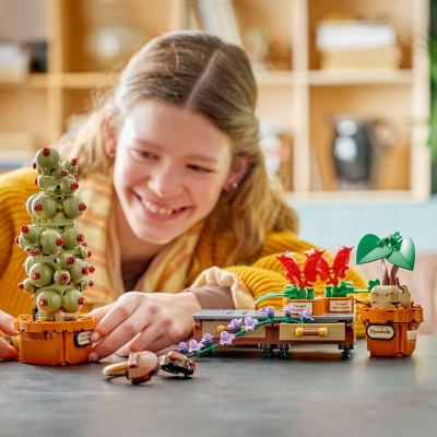 Plante pentru ora de ierbologie de la Hogwarts 76474 LEGO Harry Potter