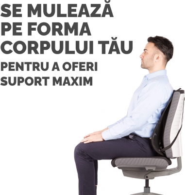 Suport pentru spate Pro Series Lotus Fellowes