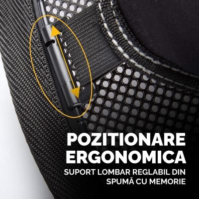 Suport pentru spate Pro Series Lotus Fellowes