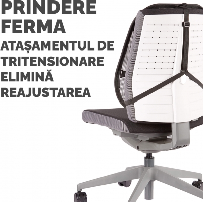 Suport pentru spate Pro Series Lotus Fellowes
