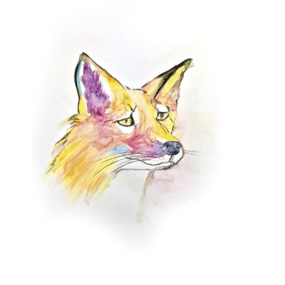 Carioci lavabile Visaquarelle 10 buc/set Bic