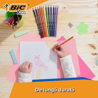 Creioane colorate 12 culori Evolution Bic