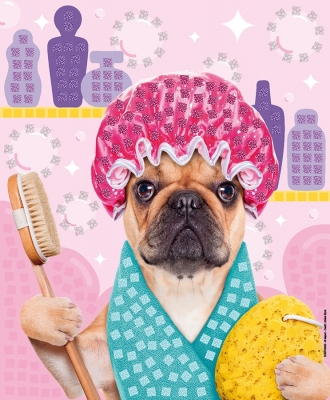 Set creativ Cute Animals Photo Mosaics Maped