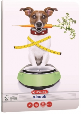 Caiet A5, 48 file, dictando, colturi rotunjite, motiv Cool Dog, diverse modele