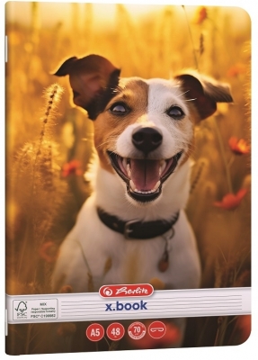 Caiet A5, 48 file, dictando, colturi rotunjite, motiv Cool Dog, diverse modele