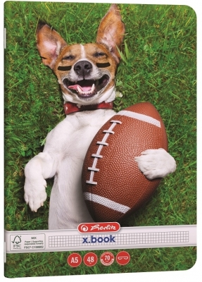Caiet A5, 48 file, patratele, colturi rotunjite, motiv Cool Dog, diverse modele