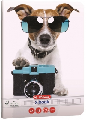 Caiet A5, 48 file, patratele, colturi rotunjite, motiv Cool Dog, diverse modele