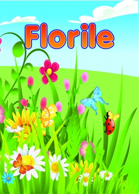 Carti de colorat A4 - set 5 carti