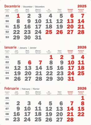 Calendar perete triptic, XL, 2026