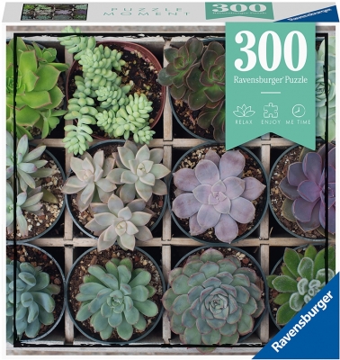 Puzzle Plante Suculente, 300 piese, Ravensburger 