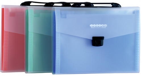 Mapa tip proiect A4, 12 compartimente, diverse culori, 332 x 245 x 40mm M&G