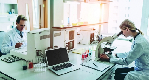 Filtru confidentialitate magnetic pentru laptop, 13.3 inch, antracit/gri Durable