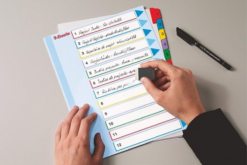 Index reinscriptibil, A4, numerotare 1-10, Esselte